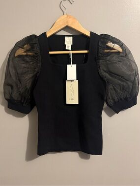 Joie Stretchy Sculpted Sheer Puff Sleeve